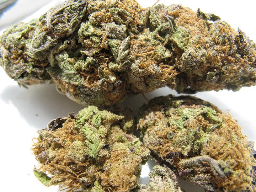 543488_367193126669381_382580764_n